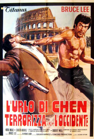 Poster 4 de Filme O Vôo do Dragão (1972)