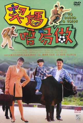 Poster 1 de Filme To Catch a Thief (1991)