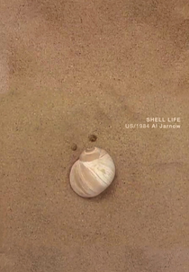 Shell Life (Shell Life)