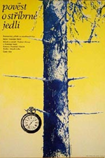 A lenda do abeto prateado (Pověst o stříbrné jedli)