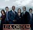 Lei & Ordem (22ª Temporada)