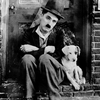 Charles Chaplin - Foto 4