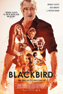 Blackbird - Poster / Capa / Cartaz - Oficial 1