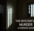 Horizon Special - The mystery of murder