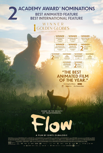 Flow - Poster / Capa / Cartaz - Oficial 16