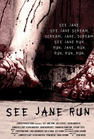 Poster 1 de Filme See Jane Run (None)