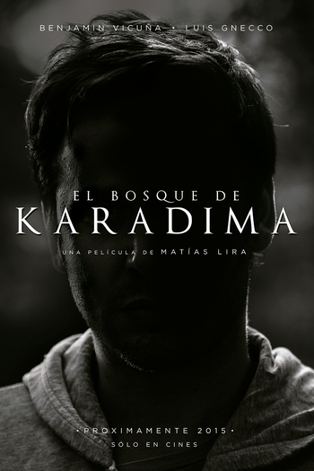 Poster de Filme O Bosque de Karadima (2015)