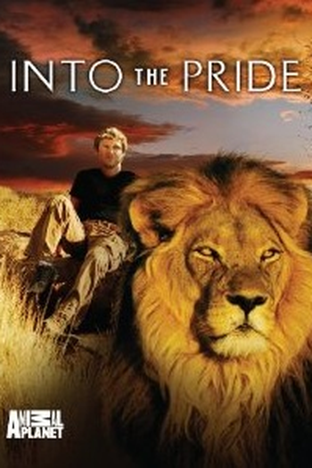 Poster de Série Dave Salmoni: Entre Leões (None)