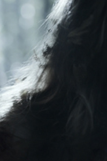 Poster de Episódio Pilot (1) (2013)