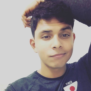Foto de perfil de Everton