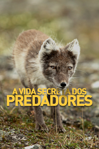 Poster de Série A Vida Secreta dos Predadores (2011)