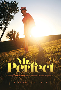 Mr. Perfect  - Poster / Capa / Cartaz - Oficial 2