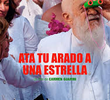 Amarra Teu Arado A Uma Estrela