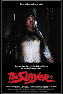 The Slayer: O Assassino - Poster / Capa / Cartaz - Oficial 3