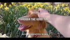 Good Boy | Trailer Legendado