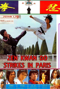 Zen Kwan do Strikes In Paris - Poster / Capa / Cartaz - Oficial 3