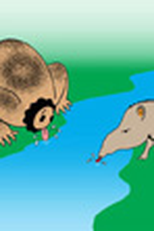 História de Beber Água (História de Beber Água)