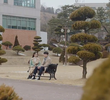Episode 21