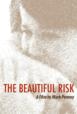 Poster 1 de Filme The Beautiful Risk (2013)