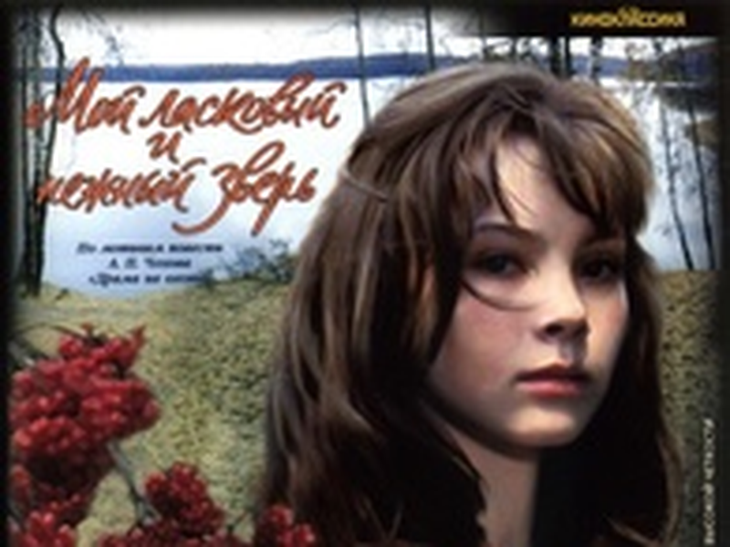 Foto 1 de Um Acidente de Caça