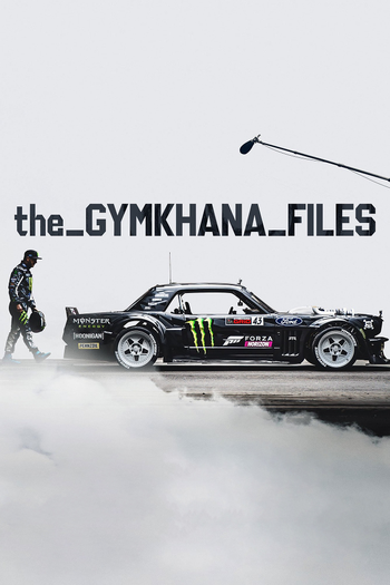 Poster de Franquia The Gymkhana Files (2018)