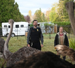 Weasels and Ostriches