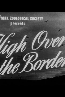 High Over the Borders - Poster / Capa / Cartaz - Oficial 1