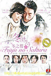 Fuyu no Sakura - Poster / Capa / Cartaz - Oficial 2