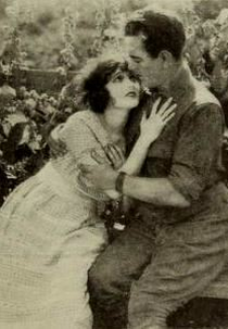 The Single Track (The Single Track)