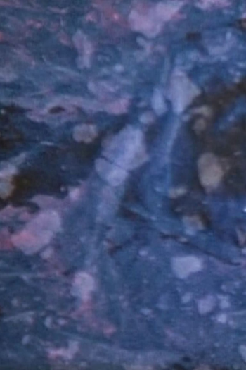 Poster de Curta Metamorphose Works No.2 (1984)