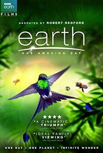 Terra: Um Dia Incrível - Poster / Capa / Cartaz - Oficial 3