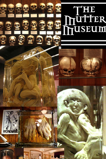  de Curta The Mutter Museum (2001)