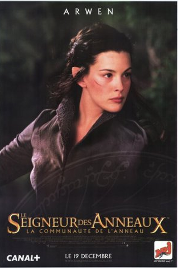  de Filme O Senhor dos Anéis: A Sociedade do Anel (2001)