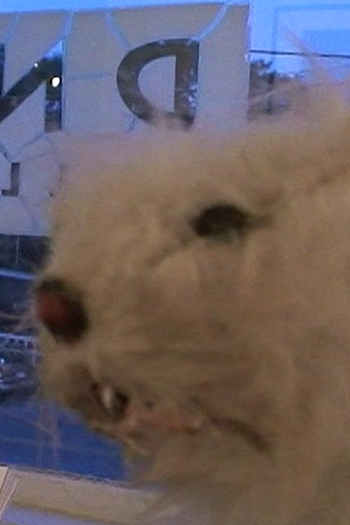 Poster de Curta Nibbles (2010)