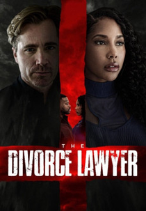 The Divorce Lawyer (The Divorce Lawyer)