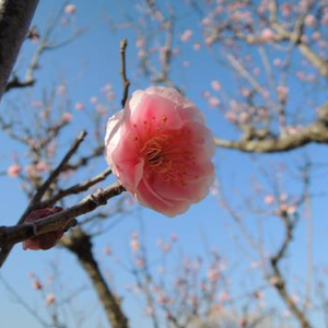 Foto de perfil de Therezinha