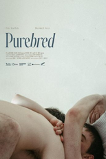 Purebred (Purebred)