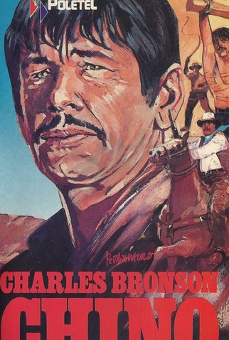 Poster 3 de Filme Valdez, o Mestiço (1973)