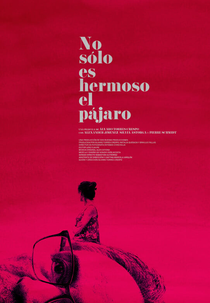 Não Só o Pássaro é Bonito (No Sólo Es Hermoso El Pájaro)