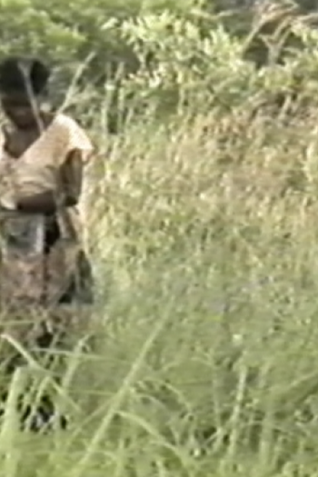 Poster de Filme A Colheita do Diabo (1988)