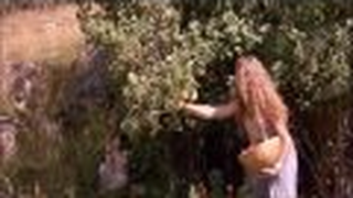 Trailer: The Green Beautiful Trailer