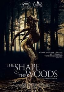 The Shape of the Woods (La Forma del Bosque)