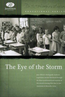 The Eye of The Storm - Poster / Capa / Cartaz - Oficial 1