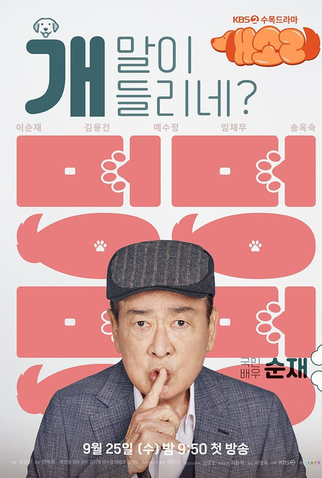 Poster 3 de Série Dog Knows Everything (2024)