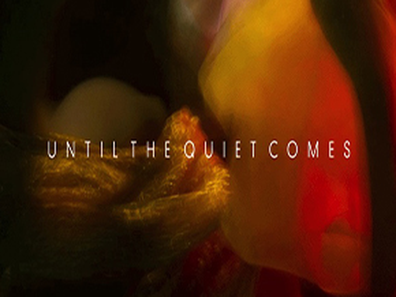 Foto 1 de Flying Lotus: Until the Quiet Comes