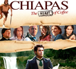 Chiapas, O Coração do Café