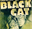 O Caso do Gato Preto