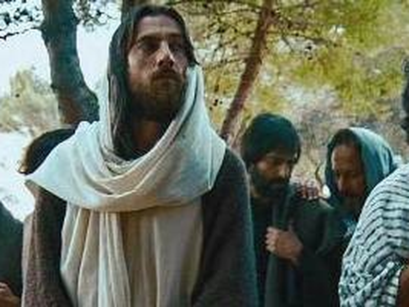 Foto 1 de La Espina de Dios 