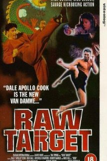 Poster de Filme O Vôo da Águia (1995)