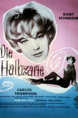 A Leviana Inocente (Die Halbzarte)